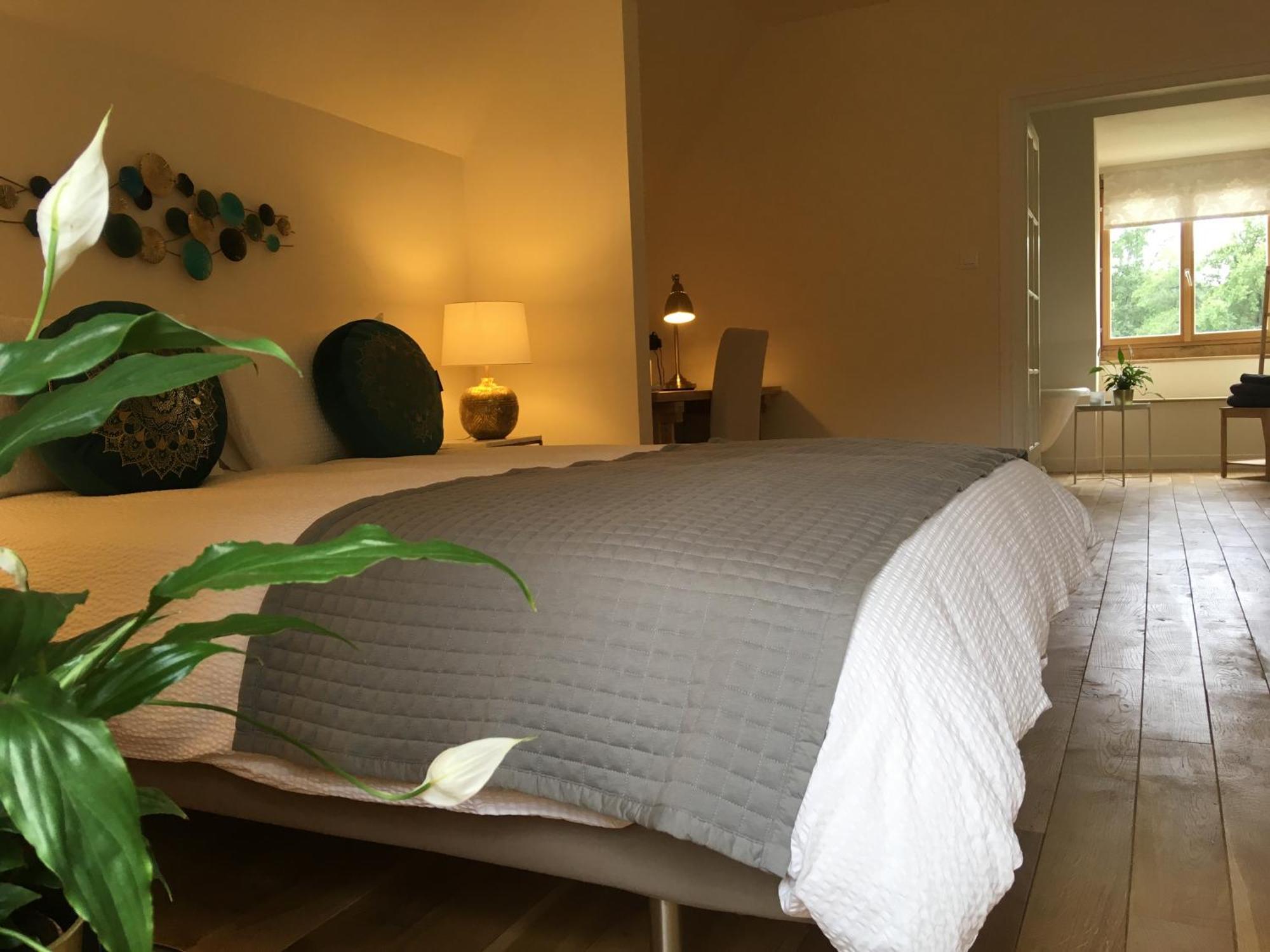 Chateau De Belespy La Bastide-de-Besplas Room photo